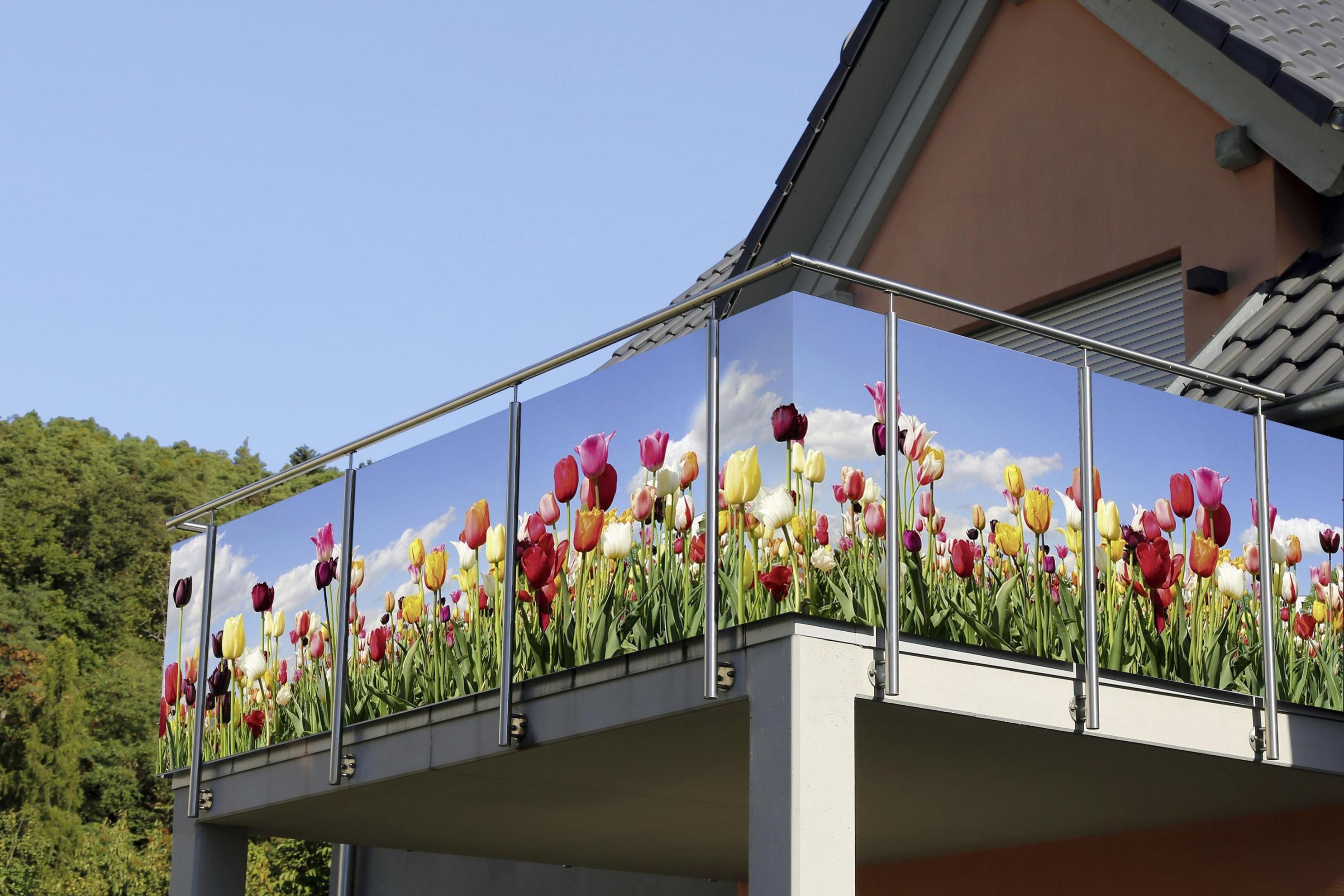Sichtschutz Balkon, Terrasse Motiv: Tulpenwiese | Weltbild.de