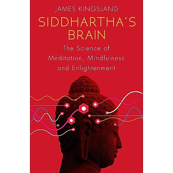 Siddhartha's Brain, James Kingsland