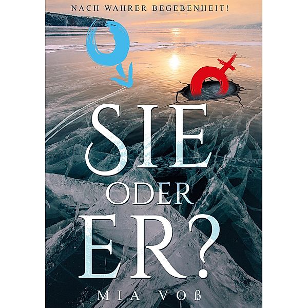 Sie oder er? / Gute Tochter, schlechter Sohn Bd.3, Mia Voss