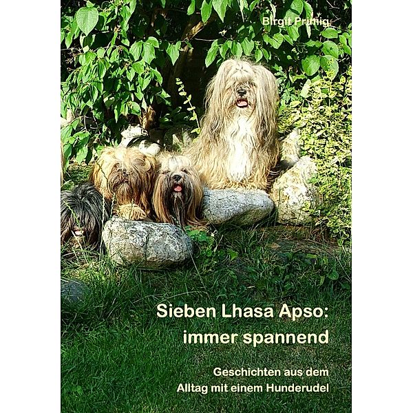 Sieben Lhasa Apso: immer spannend, Birgit Primig