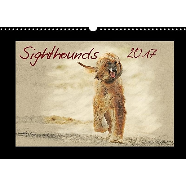 Sighthounds 2017 (Wall Calendar 2017 DIN A3 Landscape), Andrea Redecker