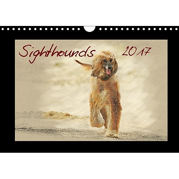 Sighthounds 2017 (Wall Calendar 2017 DIN A4 Landscape), Andrea Redecker