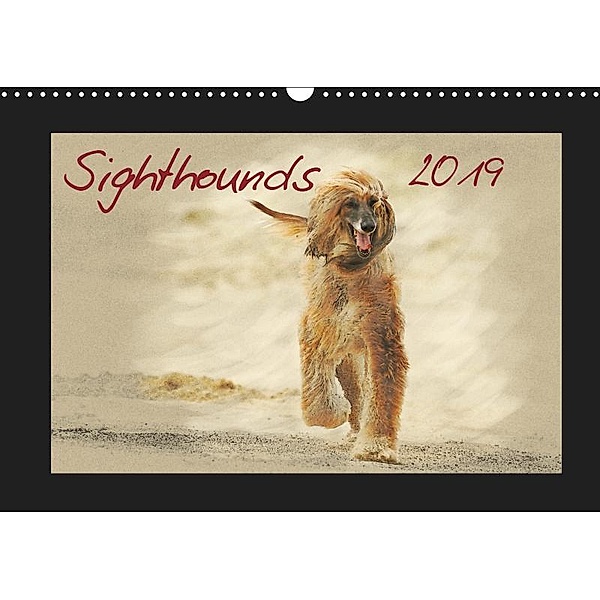 Sighthounds 2019 (Wall Calendar 2019 DIN A3 Landscape), Andrea Redecker