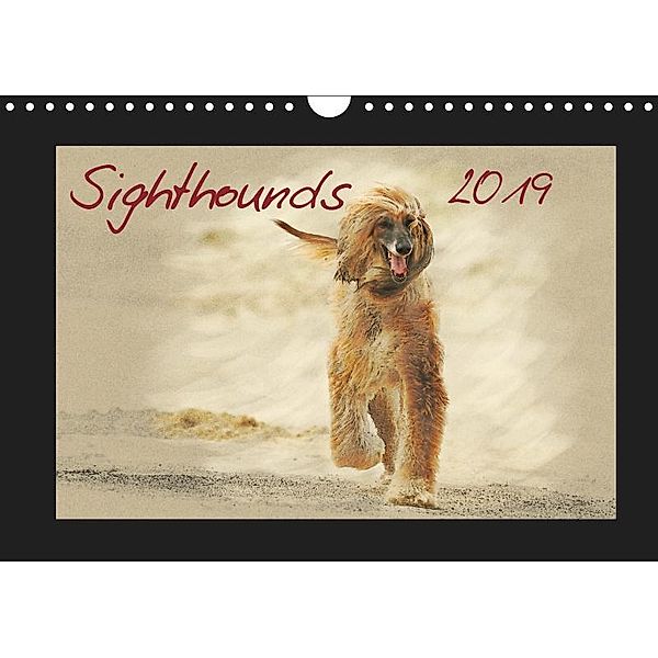 Sighthounds 2019 (Wall Calendar 2019 DIN A4 Landscape), Andrea Redecker