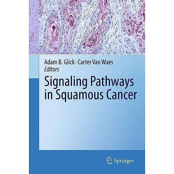 Signaling Pathways in Squamous Cancer