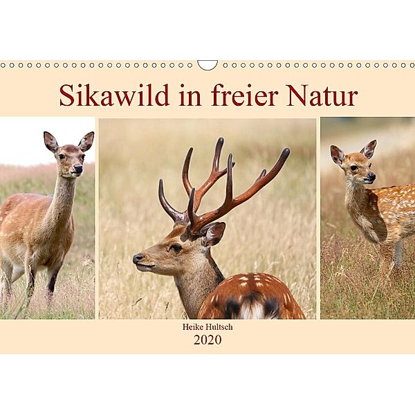 Sikawild in freier Natur (Wandkalender 2020 DIN A3 quer), Heike Hultsch