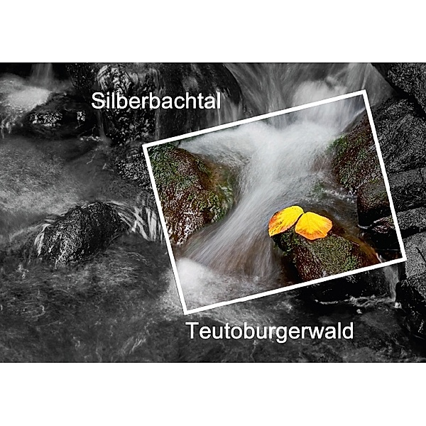 Silberbachtal Teutoburgerwald (Tischaufsteller DIN A5 quer), Ernst Hobscheidt