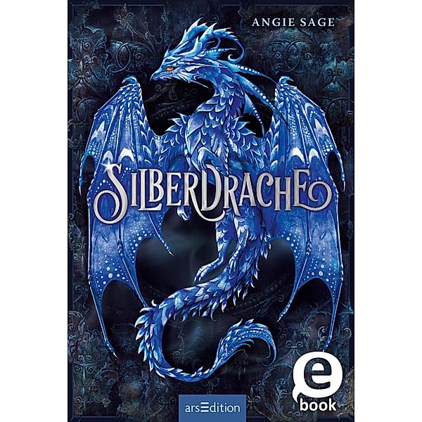 Silberdrache Bd.1, Angie Sage