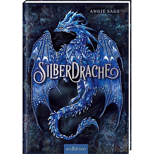 Silberdrache Bd.1, Angie Sage