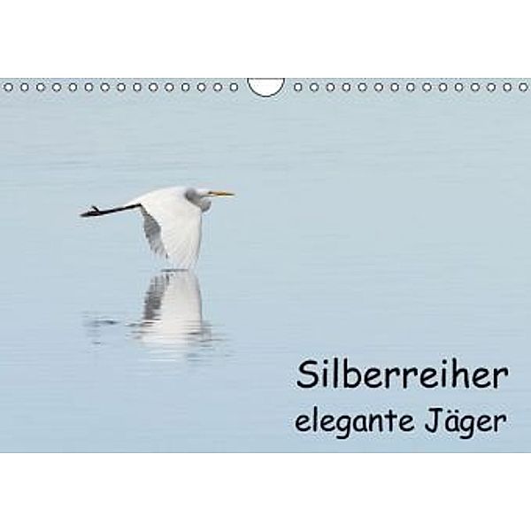 Silberreiher - elegante Jäger (Wandkalender 2016 DIN A4 quer), Thomas Alberer