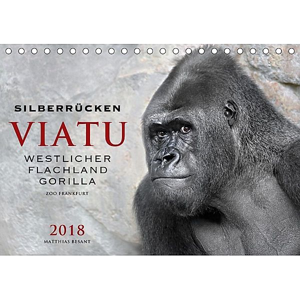 SILBERRÜCKEN VIATU (Tischkalender 2020 DIN A5 quer), Matthias Besant