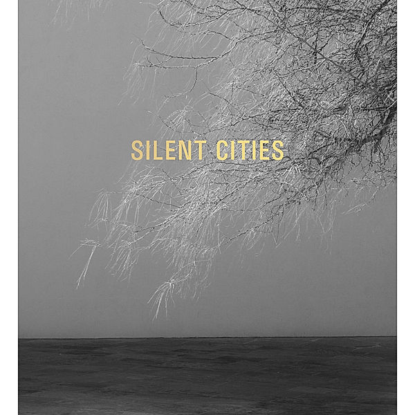 Silent Cities, Mat Hennek