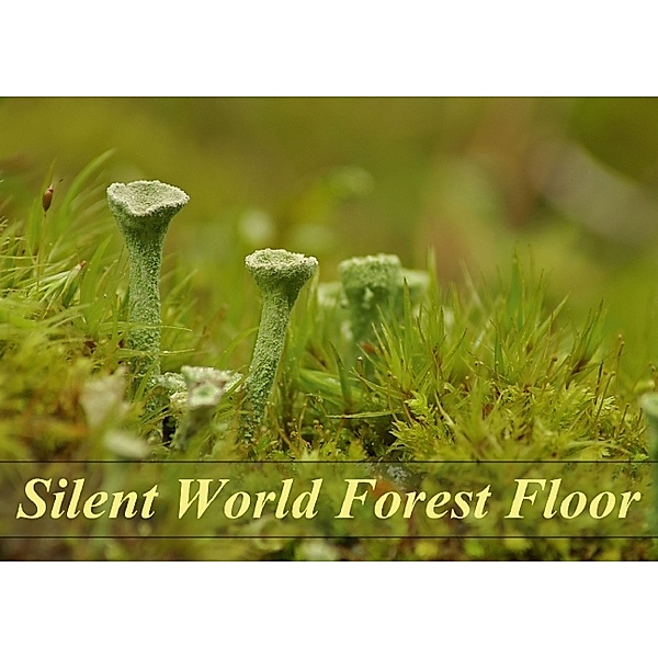 Silent World Forest Floor (Poster Book DIN A3 Landscape), Bianca Schumann
