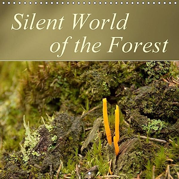 Silent World of the Forest (Wall Calendar 2017 300 × 300 mm Square), Bianca Schumann