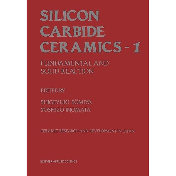 Silicon Carbide Ceramics-1