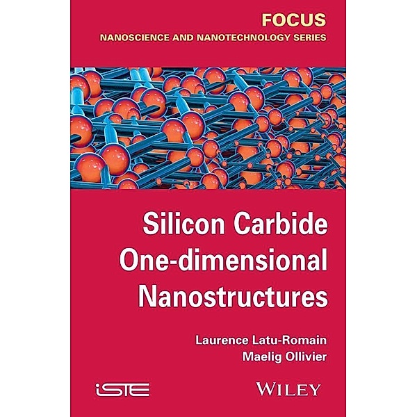 Silicon Carbide One-dimensional Nanostructures, Laurence Latu-Romain, Maelig Ollivier