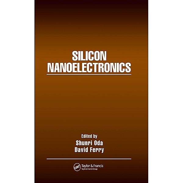 Silicon Nanoelectronics