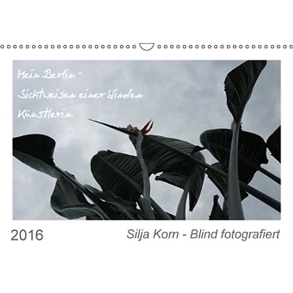 Silja Korn - Blind fotografiert (Wandkalender 2016 DIN A3 quer), Silja Korn