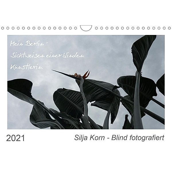 Silja Korn - Blind fotografiert (Wandkalender 2021 DIN A4 quer), Silja Korn