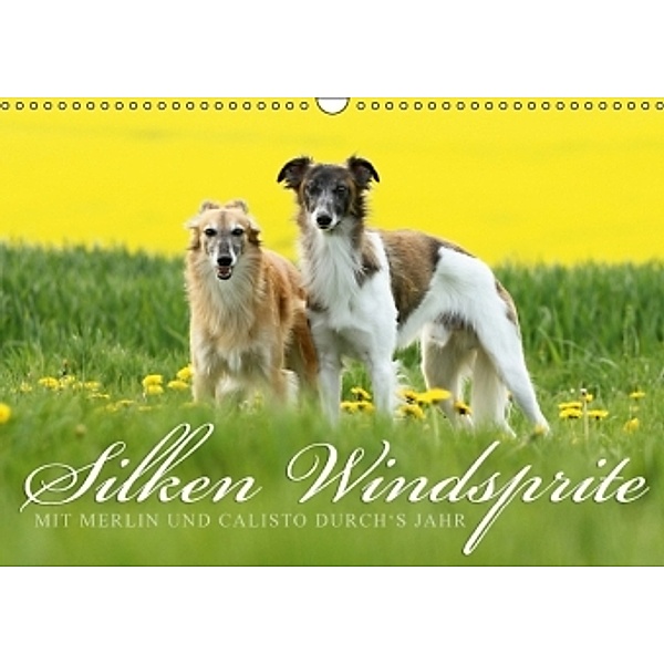 Silken Windsprite 2017 (Wandkalender 2016 DIN A3 quer), Maike Müller GoldenMerlo