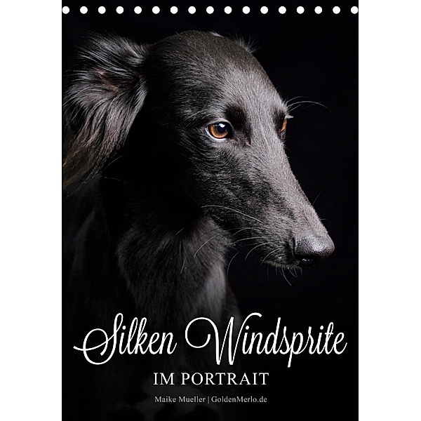 Silken Windsprite im Portrait (Tischkalender 2020 DIN A5 hoch), Maike Mueller GoldenMerlo.de