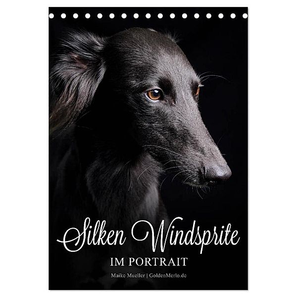 Silken Windsprite im Portrait (Tischkalender 2024 DIN A5 hoch), CALVENDO Monatskalender, Maike Mueller GoldenMerlo.de