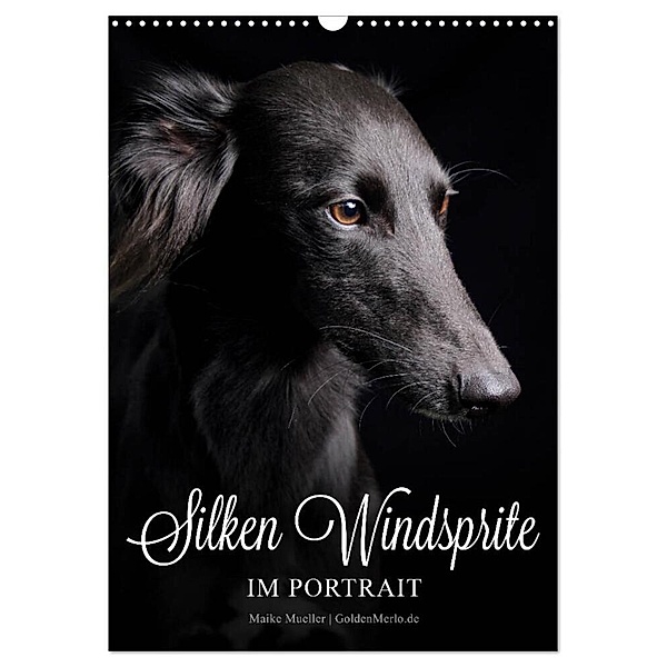 Silken Windsprite im Portrait (Wandkalender 2024 DIN A3 hoch), CALVENDO Monatskalender, Maike Mueller GoldenMerlo.de