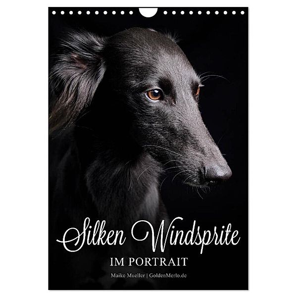 Silken Windsprite im Portrait (Wandkalender 2024 DIN A4 hoch), CALVENDO Monatskalender, Maike Mueller GoldenMerlo.de