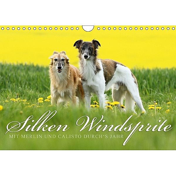 Silken Windsprite - Mit Merlin und Calisto durch's Jahr 2018 (Wandkalender 2018 DIN A4 quer), Maike Müller, Maike Müller - GoldenMerlo.de