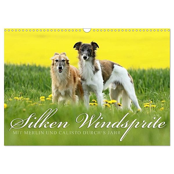 Silken Windsprite - Mit Merlin und Calisto durch´s Jahr 2024 (Wandkalender 2024 DIN A3 quer), CALVENDO Monatskalender, Maike Müller - GoldenMerlo.de