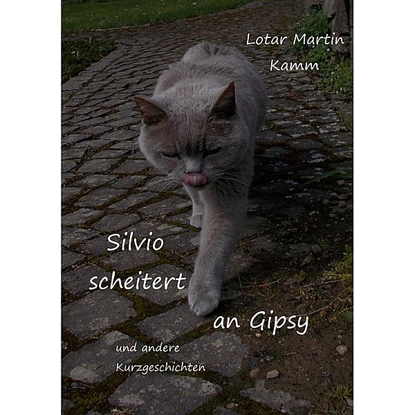 Silvio scheitert an Gipsy, Lotar Martin Kamm