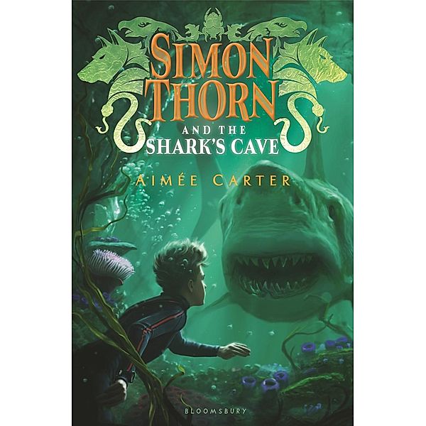 Simon Thorn and the Shark's Cave, Aimée Carter