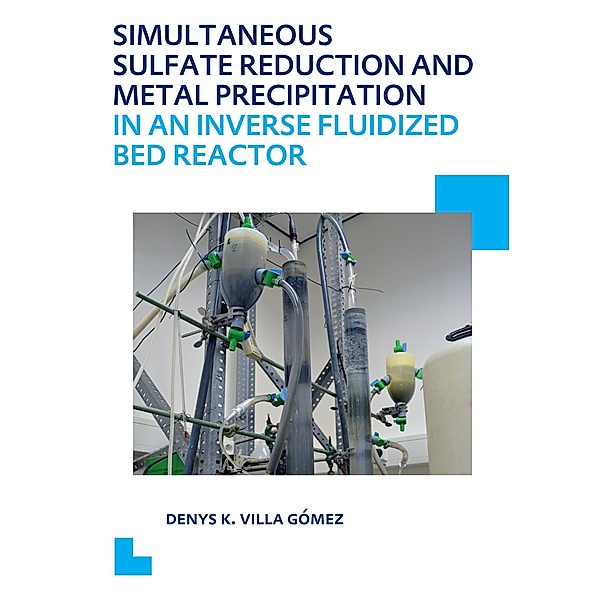 Simultaneous Sulfate Reduction and Metal Precipitation in an Inverse Fluidized Bed Reactor, Denys Kristalia Villa Gómez