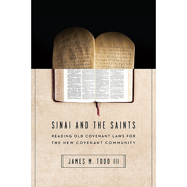 Sinai and the Saints, James M. Todd Iii