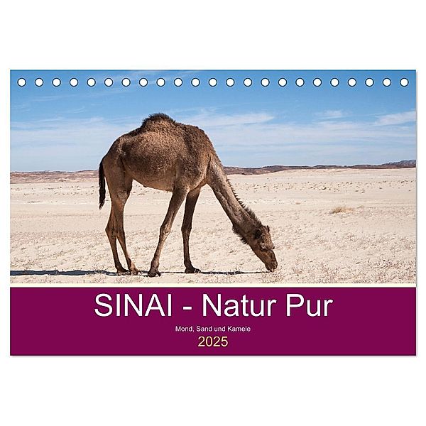 Sinai - Natur Pur (Tischkalender 2025 DIN A5 quer), CALVENDO Monatskalender, Calvendo, Claudia Wiens