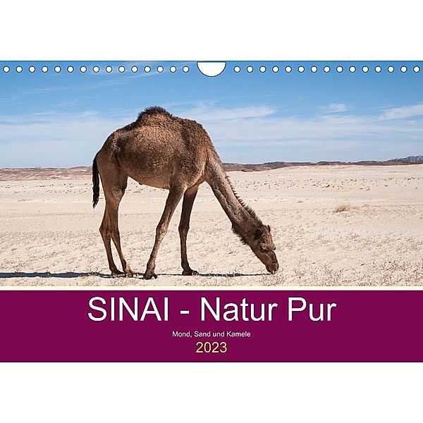 Sinai - Natur Pur (Wandkalender 2023 DIN A4 quer), Claudia Wiens