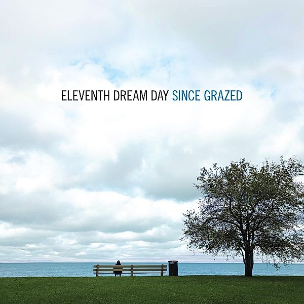 Since Grazed (Vinyl), Eleventh Dream Day