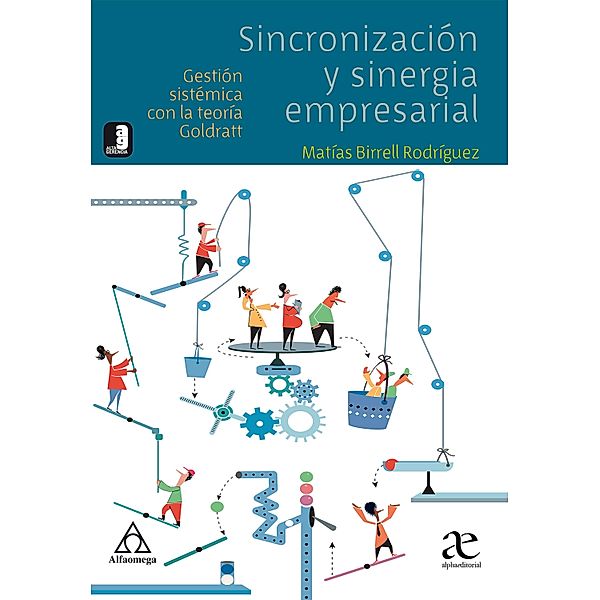 Sincronización y sinergia empresarial, Matías Birrell Rodríguez, Javier Arévalo Jiménez