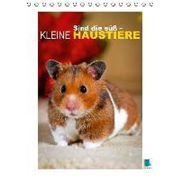 Sind die süß - kleine Haustiere (Tischkalender 2016 DIN A5 hoch), Calvendo