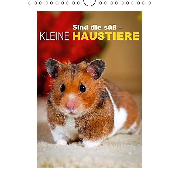 Sind die süß kleine Haustiere (Wandkalender 2014 DIN A4 hoch), CALVENDO