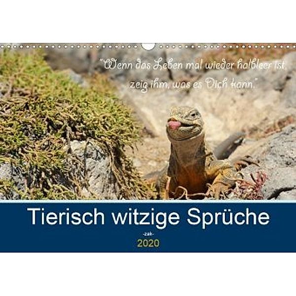 Sind Tiere die weiseren Menschen? Tierisch witzige Sprüche (Wandkalender 2020 DIN A3 quer), Rolf Skrypzak