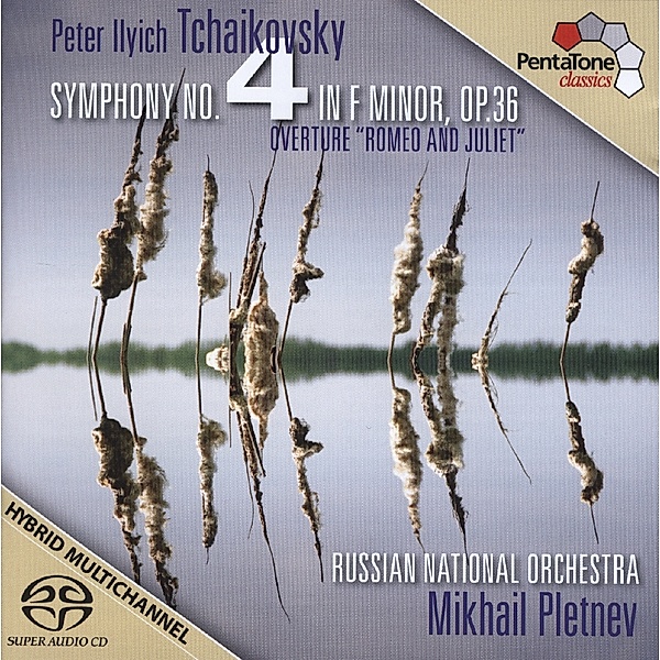 Sinfonie 4 F-Moll Op.36, M. Pletnev, Russian National Orchestra