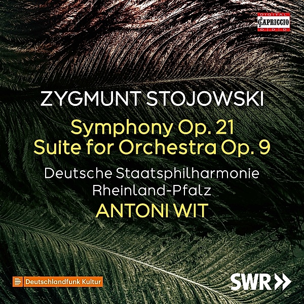 Sinfonie D-Moll Op.21, Antoni Wit, Deutsche Staatsphilharmonie Rh.-Pfalz