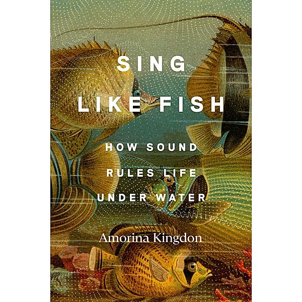 Sing Like Fish, Amorina Kingdon