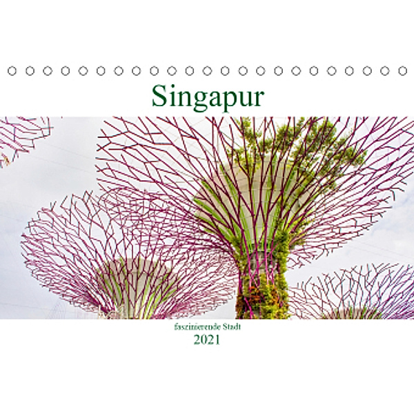 Singapur - faszinierende Stadt (Tischkalender 2021 DIN A5 quer), Nina Schwarze