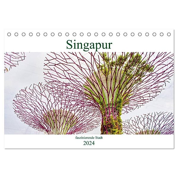 Singapur - faszinierende Stadt (Tischkalender 2024 DIN A5 quer), CALVENDO Monatskalender, Nina Schwarze