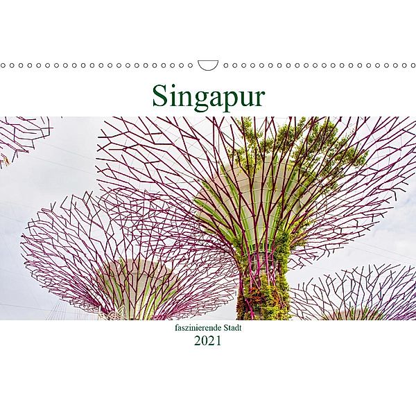 Singapur - faszinierende Stadt (Wandkalender 2021 DIN A3 quer), Nina Schwarze