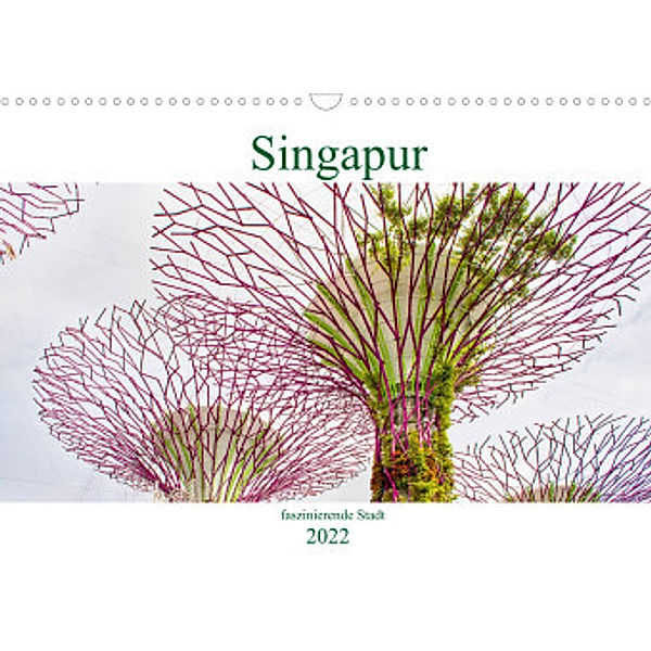 Singapur - faszinierende Stadt (Wandkalender 2022 DIN A3 quer), Nina Schwarze