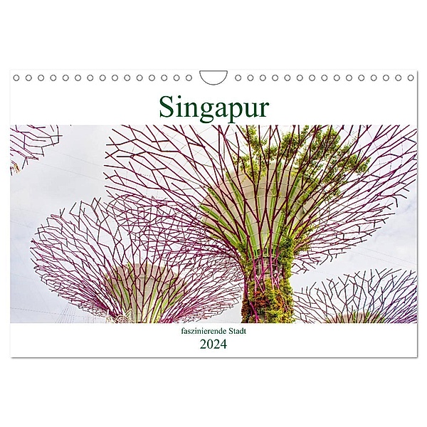 Singapur - faszinierende Stadt (Wandkalender 2024 DIN A4 quer), CALVENDO Monatskalender, Nina Schwarze