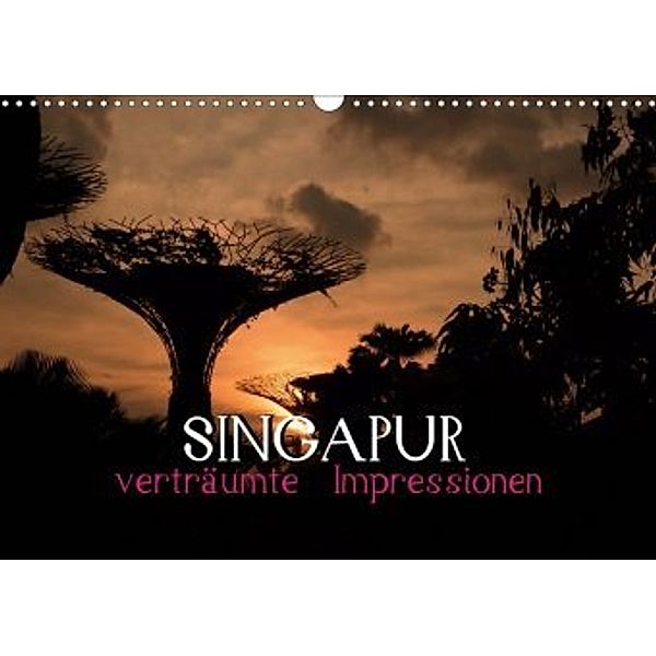 Singapur - verträumte Impressionen (Wandkalender 2020 DIN A3 quer), Daniel Stewart Lustig